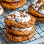 Delicious Pumpkin S’mores Cookies